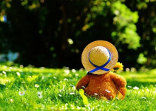 Teddy Bears Picnic Theme Puppet Show - teddy bear